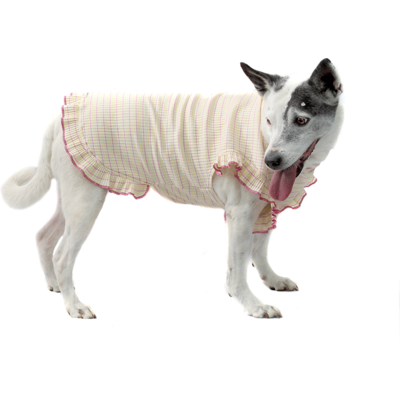 Vestido Bichinho Chic Encanto para Cães e Gatos Roxo