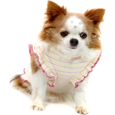 Vestido Bichinho Chic Encanto para Cães e Gatos Roxo