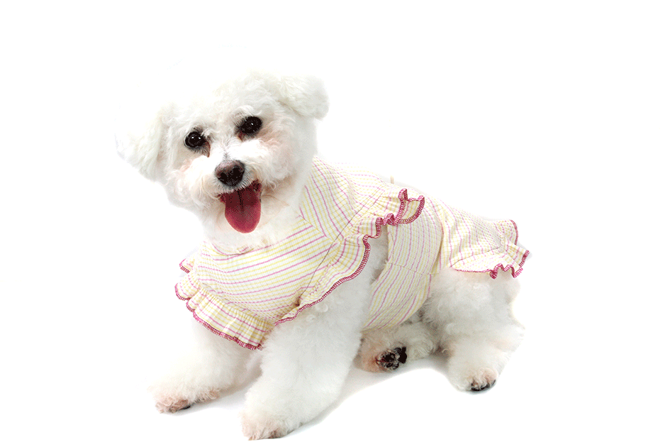 Vestido Bichinho Chic Encanto para Cães e Gatos Roxo - Tam. 07