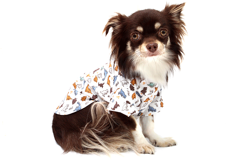 Camisa Bichinho Chic Dinossauro para Cães e Gatos Bege - Tam. 05