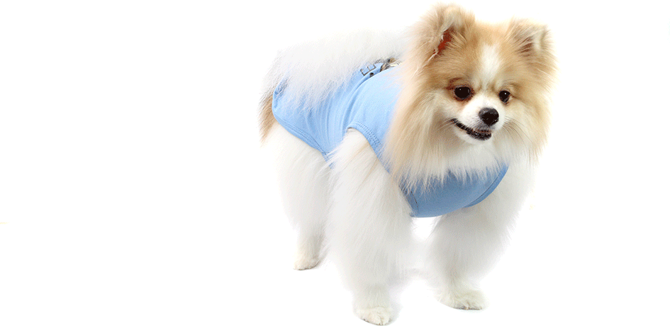Camiseta Bichinho Chic Musica para Cães e Gatos Azul - Tam. 01