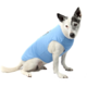 Camiseta Bichinho Chic Musica para Cães e Gatos Azul