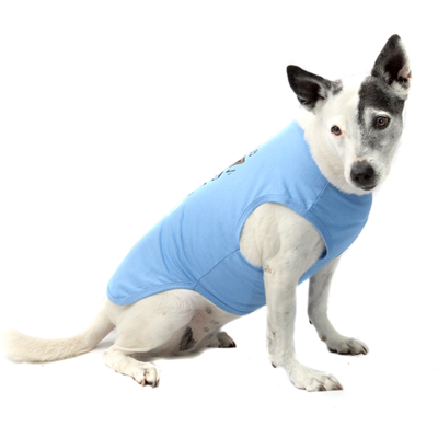 Camiseta Bichinho Chic Musica para Cães e Gatos Azul