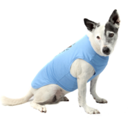 Camiseta Bichinho Chic Musica para Cães e Gatos Azul - Tam. 06