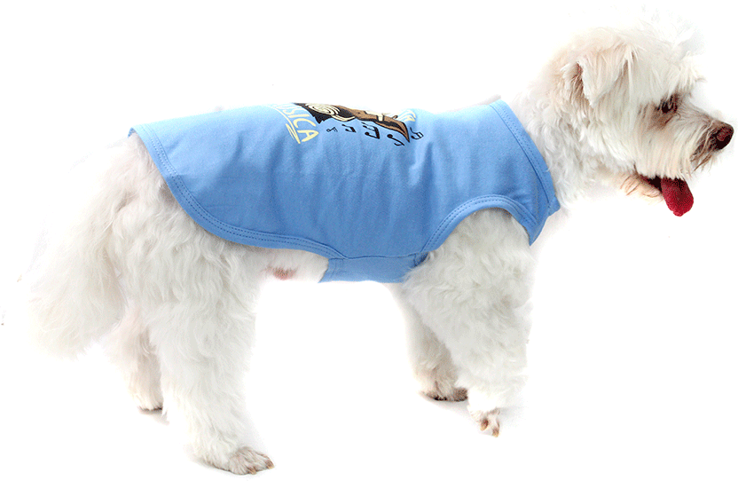 Camiseta Bichinho Chic Musica para Cães e Gatos Azul - Tam. 01