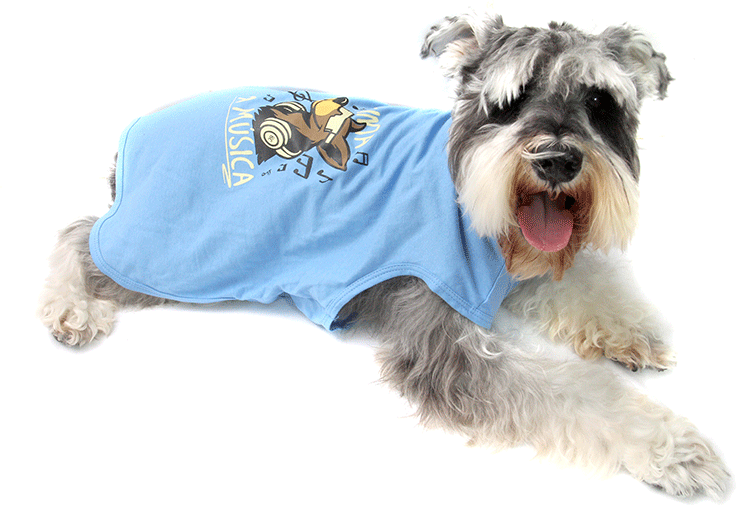 Camiseta Bichinho Chic Musica para Cães e Gatos Azul - Tam. 01