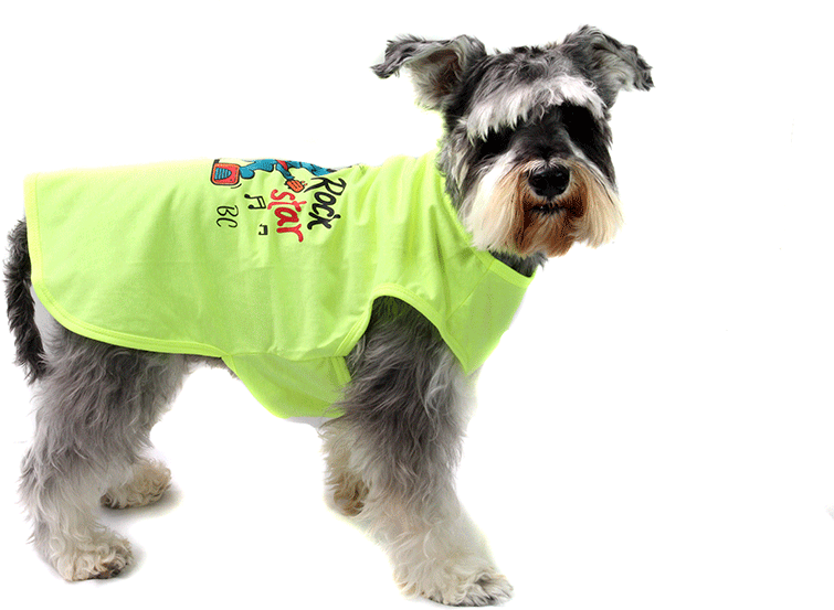 Camiseta Bichinho Chic Rock Star para Cães e Gatos Amarelo - Tam. 06