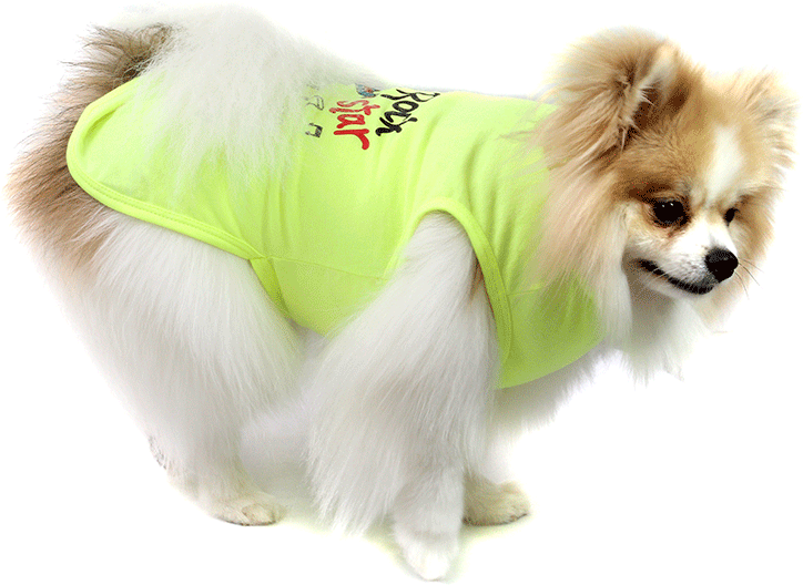 Camiseta Bichinho Chic Rock Star para Cães e Gatos Amarelo - Tam. 06