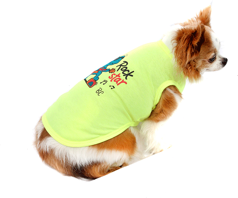 Camiseta Bichinho Chic Rock Star para Cães e Gatos Amarelo - Tam. 06
