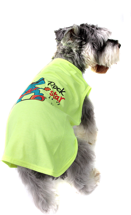 Camiseta Bichinho Chic Rock Star para Cães e Gatos Amarelo - Tam. 06