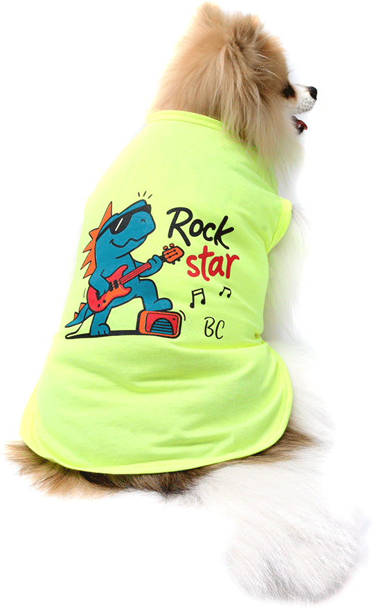 Camiseta Bichinho Chic Rock Star para Cães e Gatos Amarelo - Tam. 06