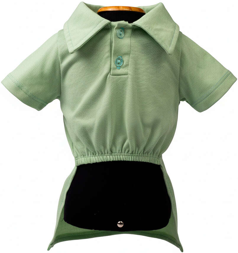Polo Fábrica Pet Sapo para Cães e Gatos Verde - Tam. GG