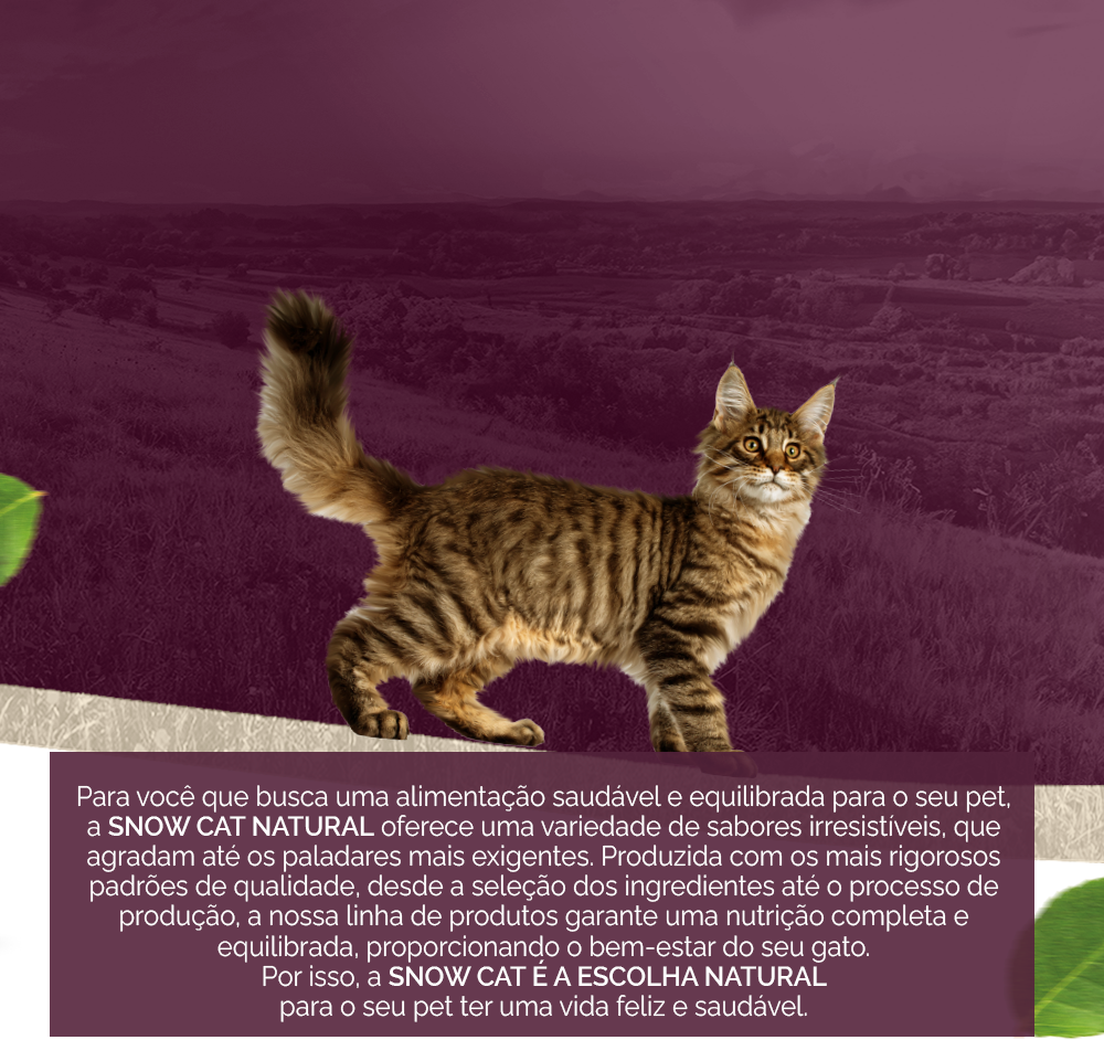 Ração Seca Snow Cat Peru com Maçã para Gatos Castrados - 20Kg
