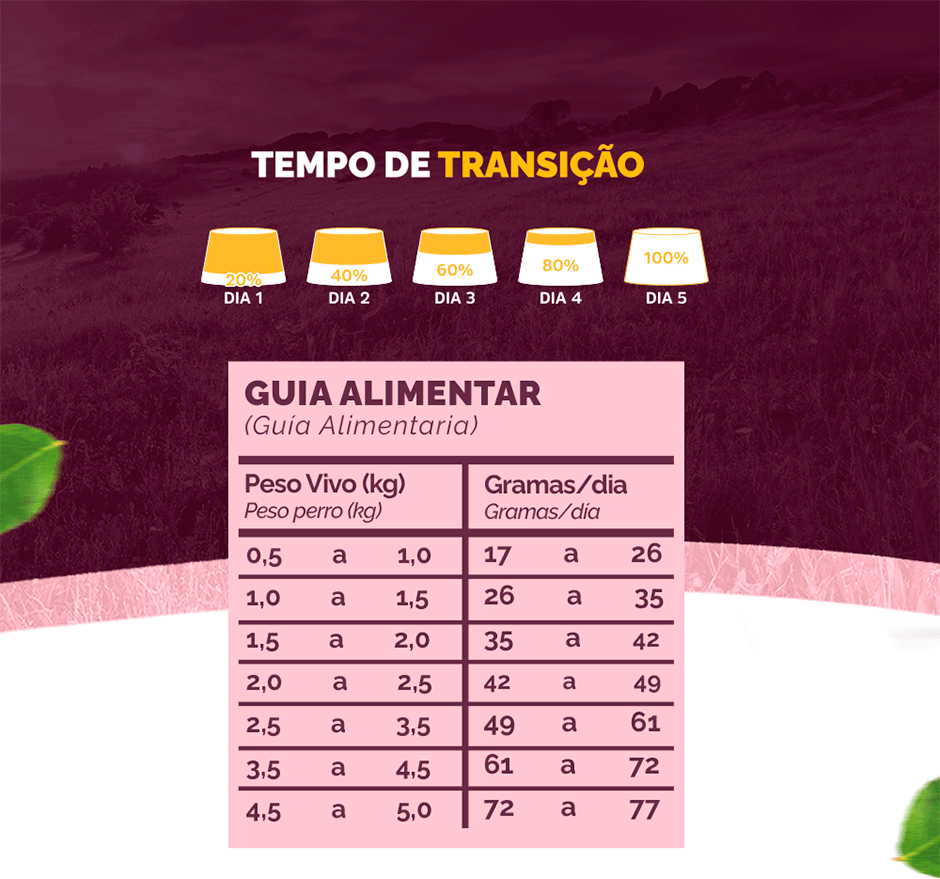 Ração Seca Snow Cat Leite com Morango para Gatos Filhotes - 20Kg