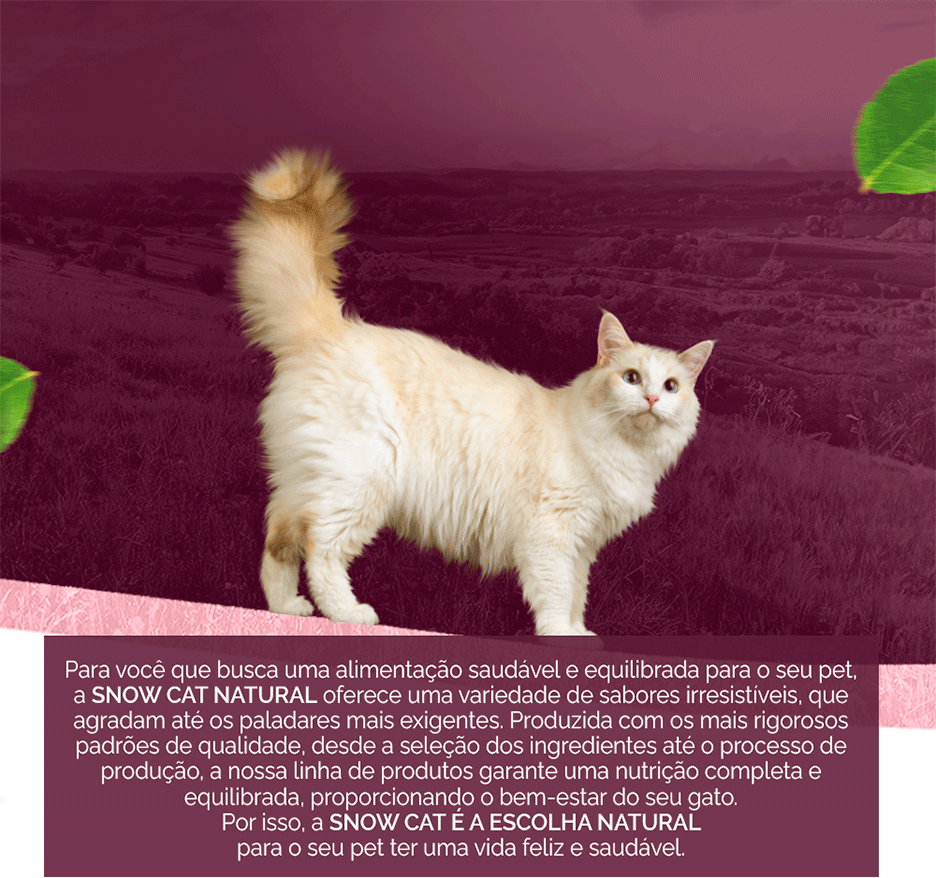 Ração Seca Snow Cat Leite com Morango para Gatos Filhotes - 20Kg