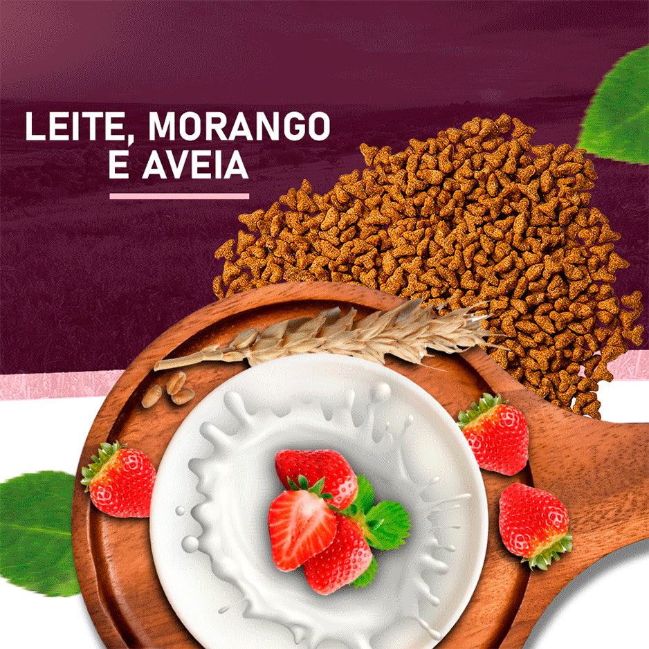 Ração Seca Snow Cat Leite com Morango para Gatos Filhotes - 20Kg