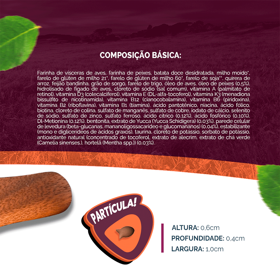 Ração Seca Snow Cat Salmão com Maracujá para Gatos Adultos - 500 g