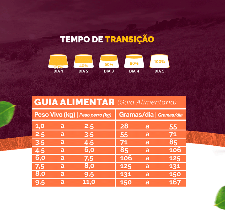Ração Seca Snow Cat Salmão com Maracujá para Gatos Adultos - 500 g