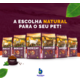 Ração Seca Snow Cat Salmão com Maracujá para Gatos Adultos