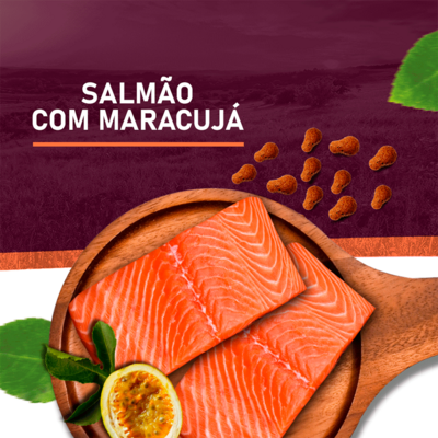 Ração Seca Snow Cat Salmão com Maracujá para Gatos Adultos