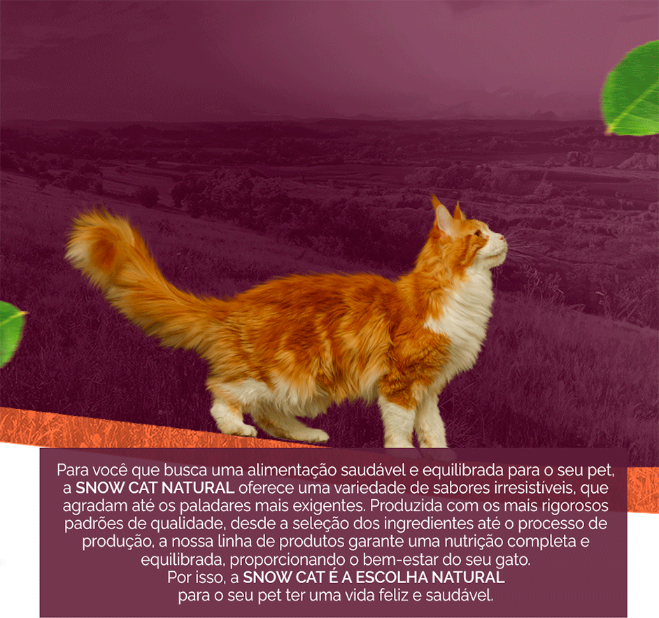 Ração Seca Snow Cat Salmão com Maracujá para Gatos Adultos - 500 g