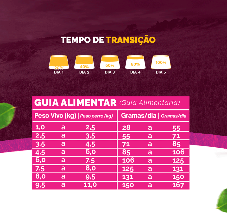 Ração Seca Snow Cat Sabores do Mar para Gatos Adultos - 25Kg
