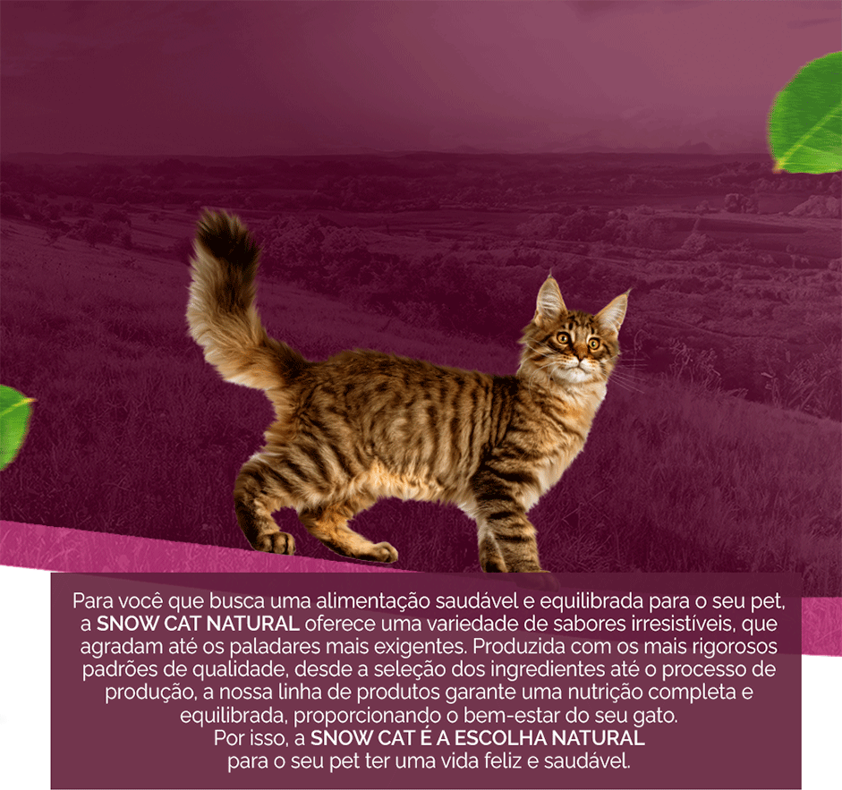 Ração Seca Snow Cat Peixe para Gatos Adultos - 10,1Kg