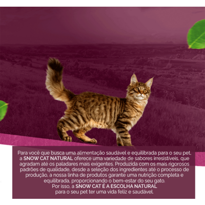 Ração Seca Snow Cat Peixe para Gatos Adultos