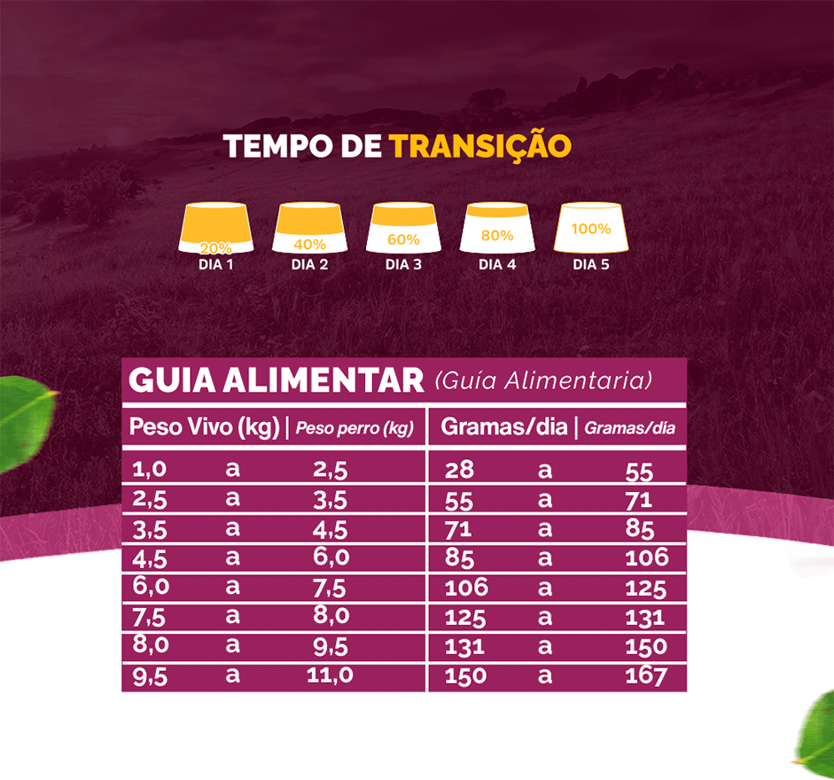 Ração Seca Snow Cat Peixe para Gatos Adultos - 10,1Kg