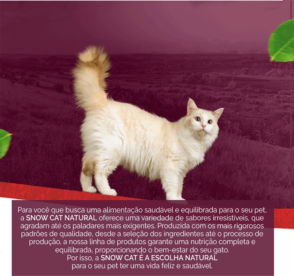 Ração Seca Snow Cat Carne com Abacaxi para Gatos - 3Kg