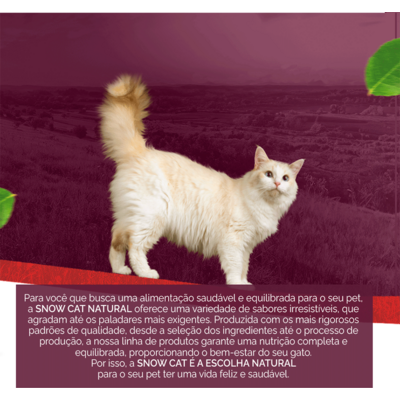 Ração Seca Snow Cat Carne com Abacaxi para Gatos