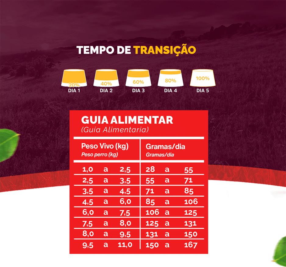Ração Seca Snow Cat Carne com Abacaxi para Gatos - 3Kg