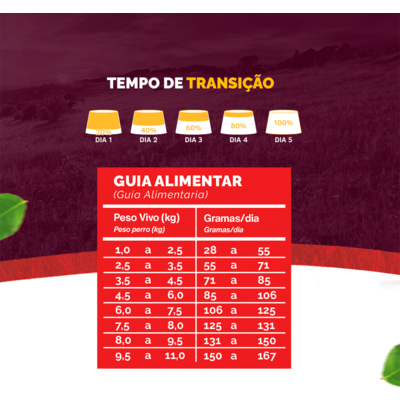 Ração Seca Snow Cat Carne com Abacaxi para Gatos