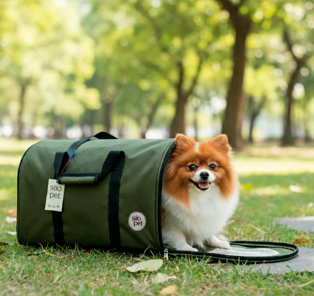 Bolsa de Transporte Redonda São Pet Verde para Cães e Gatos - Tam. AZ