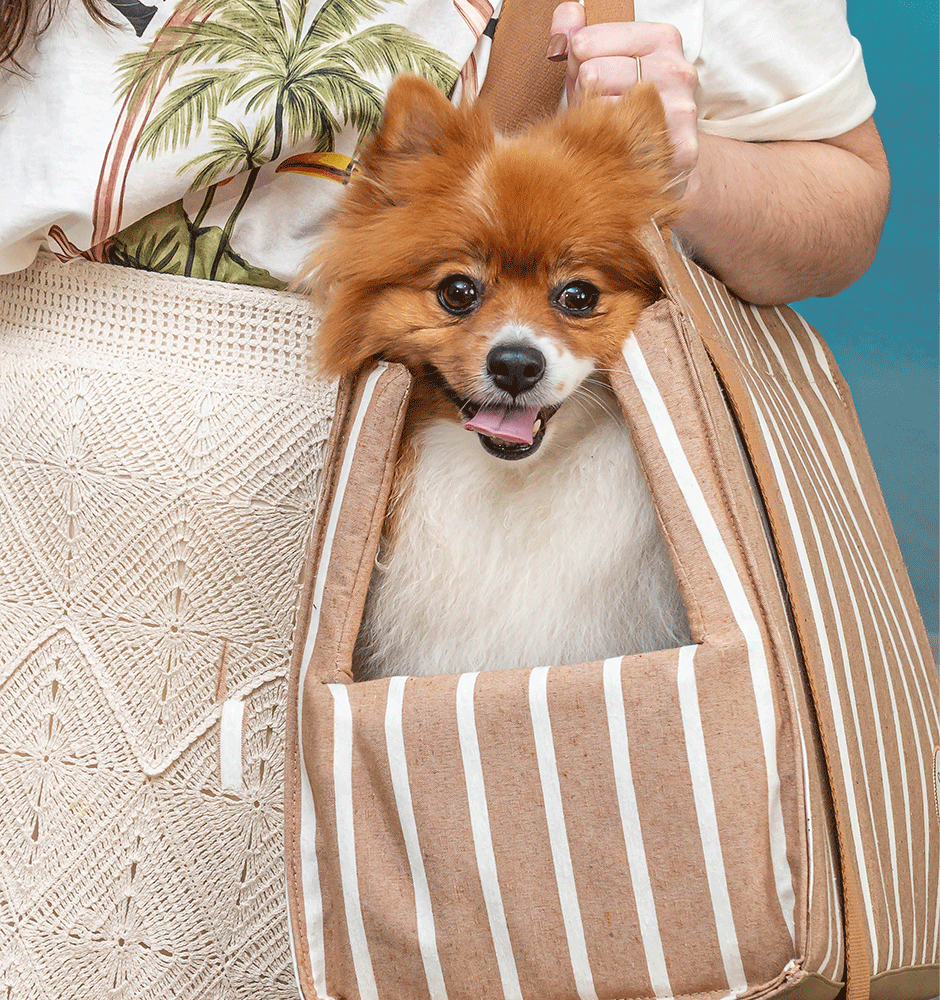 Bolsa de Passeio Ipanema São Pet Bege para Cães e Gatos - Tam. Único