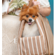 Bolsa de Passeio Ipanema São Pet Bege para Cães e Gatos