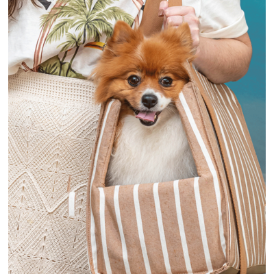 Bolsa de Passeio Ipanema São Pet Bege para Cães e Gatos