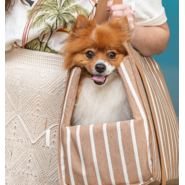 Bolsa de Passeio Ipanema São Pet Bege para Cães e Gatos - Tam. Único
