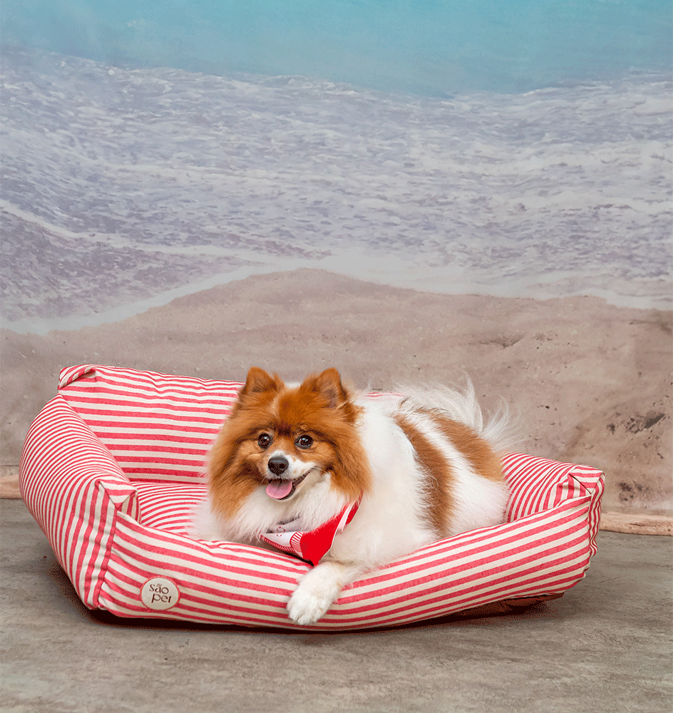 Cama São Pet Ilhéus Vermelha para Cães e Gatos - Tam. P