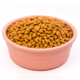 Comedouro São Pet Antiderrapante para Cães e Gatos Rosé”