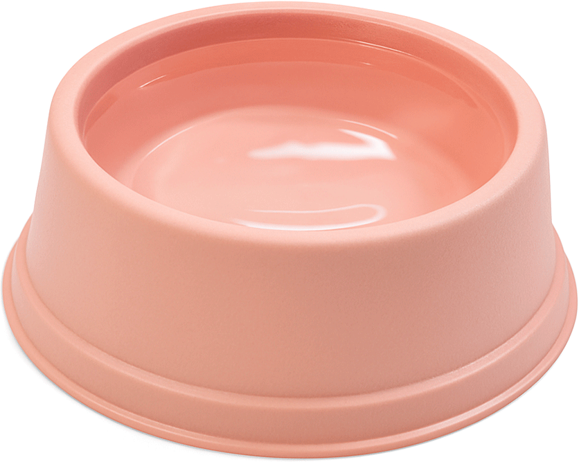 Comedouro São Pet Filhote para Cães e Gatos Rosé - 300 mL