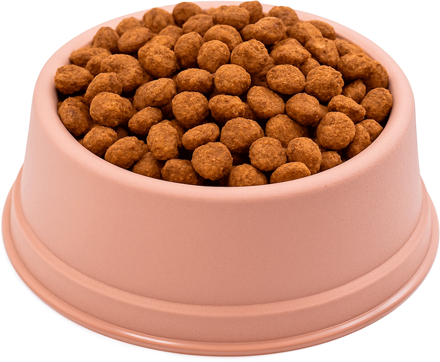Comedouro São Pet Filhote para Cães e Gatos Rosé - 300 mL
