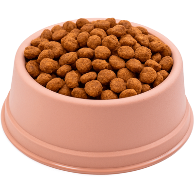 Comedouro São Pet Filhote para Cães e Gatos Rosé