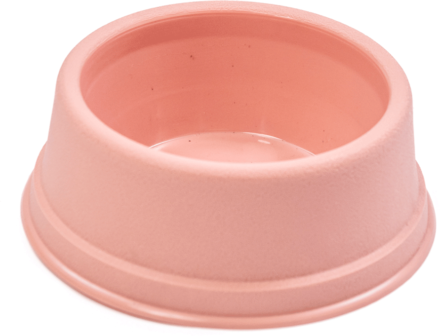 Comedouro São Pet Filhote para Cães e Gatos Rosé - 300 mL