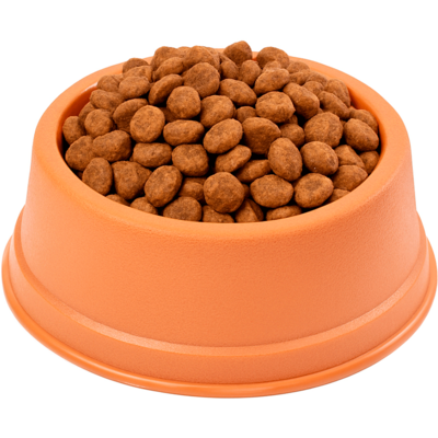 Comedouro São Pet Filhote para Cães e Gatos Terracota
