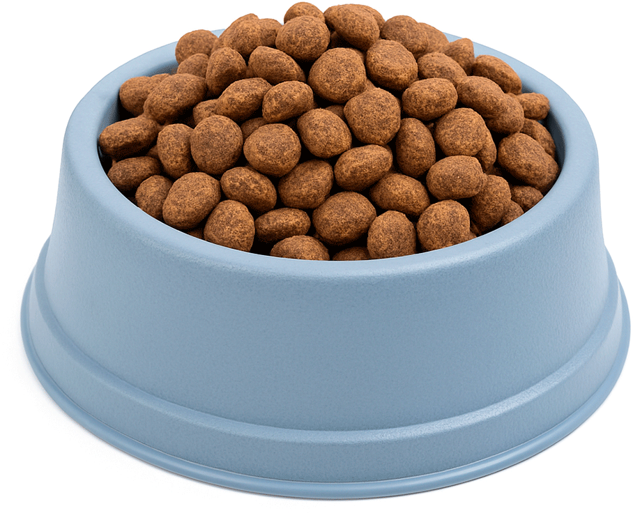 Comedouro São Pet Pequeno para Cães e Gatos Azul - 1 L