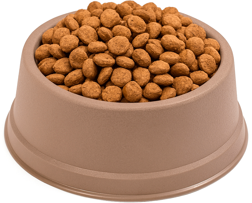 Comedouro São Pet Pequeno para Cães e Gatos Fendi - 1 L