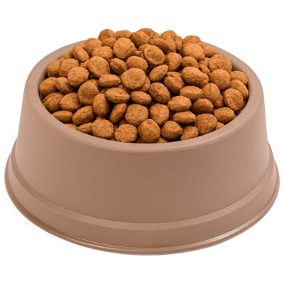 Comedouro São Pet Grande para Cães e Gatos Fendi
