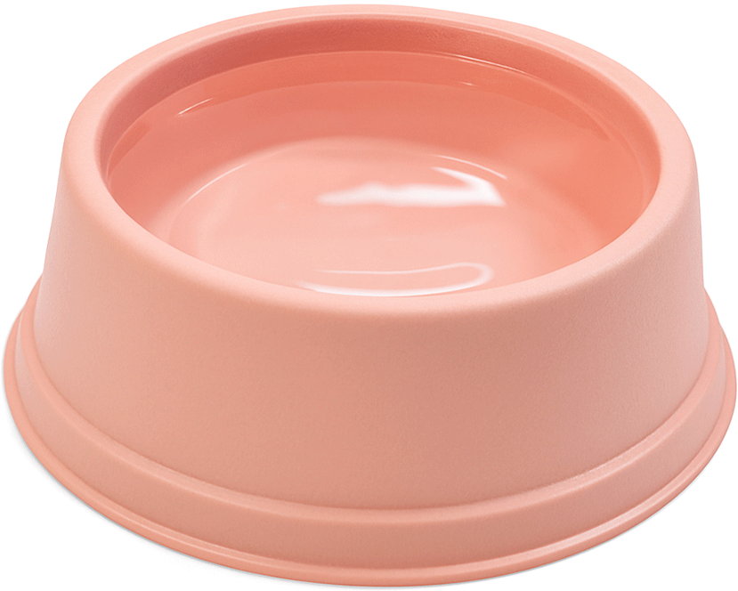 Comedouro São Pet Pequeno para Cães e Gatos Rosé - 1 L
