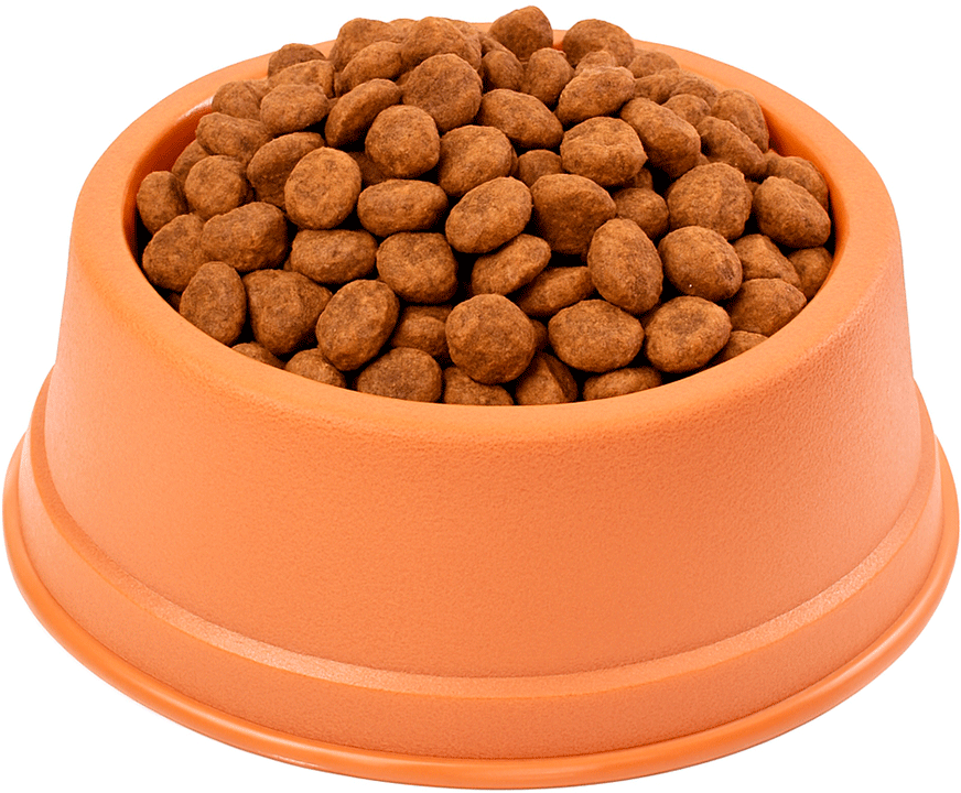 Comedouro São Pet Pequneno para Cães e Gatos Terracota - 1 L